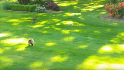 YouTube, фото - Новости Zakon.kz от 26.05.2018 21:06