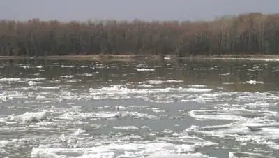 vp43.ru, фото - Новости Zakon.kz от 12.02.2019 12:51