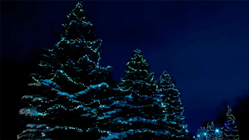 20 фотографий, наполненных ожиданием зимы