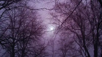 Усиление ветра, туман и гололед прогнозируют синоптики 18 ноября по Казахстану , фото - Новости Zakon.kz от 17.11.2022 15:03