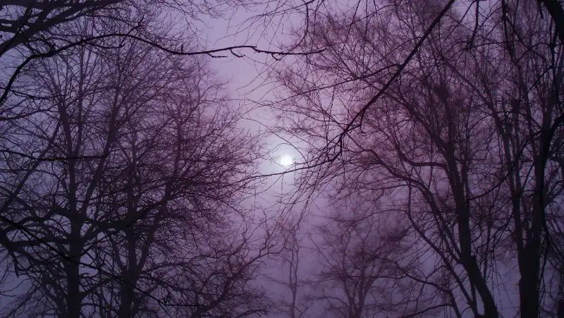 Усиление ветра, туман и гололед прогнозируют синоптики 18 ноября по Казахстану