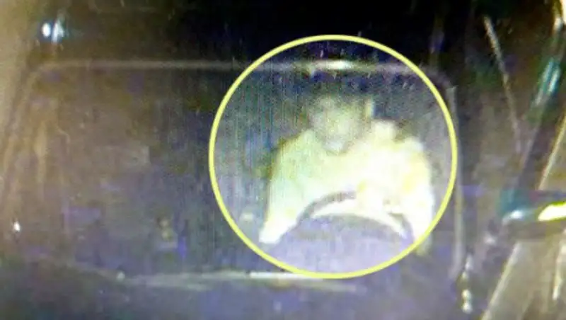 Сбивший в Южной Корее ребенка казахстанец подал апелляцию