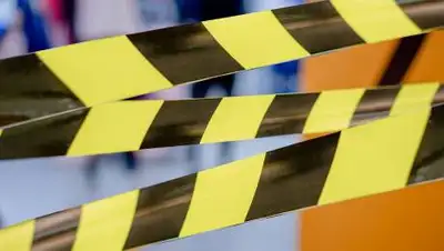 Pixabay.com, фото - Новости Zakon.kz от 11.08.2021 15:04