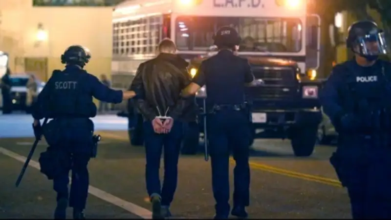 В Лос-Анджелесе арестованы более 330 человек, поддержавших протесты в Фергюсоне