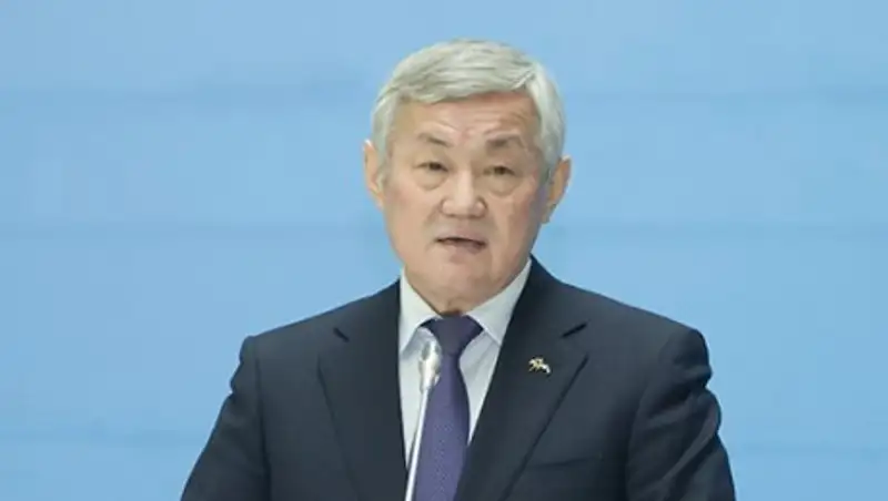 Бердибек Сапарбаев отчитался перед премьер-министром РК о ситуации в своем регионе