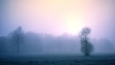 рк, области, шымкент, туман, штормовое предупреждение, казгидромет, фото - Новости Zakon.kz от 29.12.2021 18:12