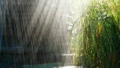 Zakon.kz, фото - Новости Zakon.kz от 01.05.2015 16:25