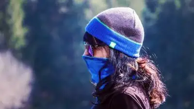 Pixabay, фото - Новости Zakon.kz от 11.12.2020 02:49