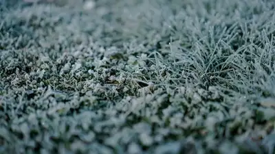 Заморозки до -3, дожди с грозами: какой будет погода в Казахстане 6 октября, фото - Новости Zakon.kz от 05.10.2023 16:20