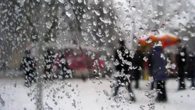 inform.kz, фото - Новости Zakon.kz от 08.09.2020 16:48