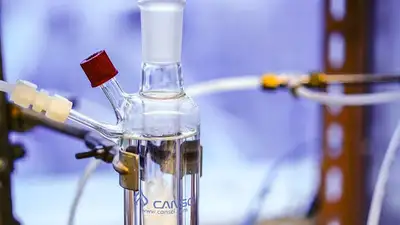 Таурин, фото - Новости Zakon.kz от 09.06.2023 11:05