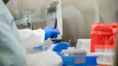 Хабар, фото - Новости Zakon.kz от 29.03.2020 14:41