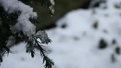 Zakon.kz, фото - Новости Zakon.kz от 26.11.2015 12:00