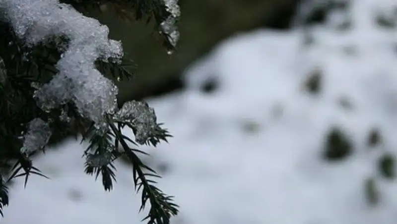 На западе, северо-западе и севере Казахстана сохраняются осадки, туман и гололед
