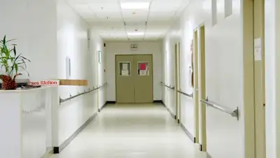 Zakon.kz, фото - Новости Zakon.kz от 11.11.2015 19:13