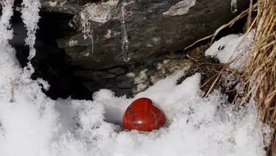 pixabay.com, фото - Новости Zakon.kz от 23.03.2019 18:50