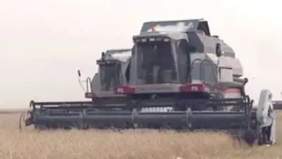 Zakon.kz, фото - Новости Zakon.kz от 26.10.2014 19:55