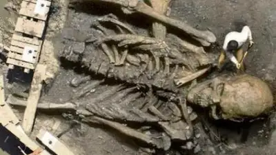 Zakon.kz, фото - Новости Zakon.kz от 15.04.2015 20:59