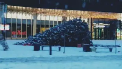 Zakon.kz, фото - Новости Zakon.kz от 27.12.2017 10:33