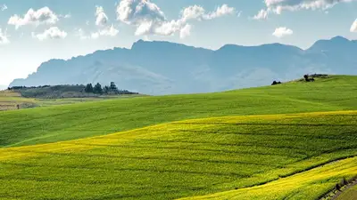 Какую погоду принесет антициклон в Казахстан 11 июля , фото - Новости Zakon.kz от 10.07.2023 17:05