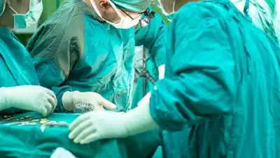 pixabay, фото - Новости Zakon.kz от 14.02.2021 22:12