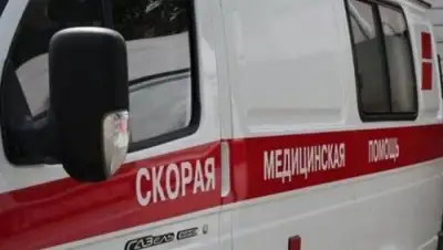 из открытых источников, фото - Новости Zakon.kz от 18.08.2018 16:30