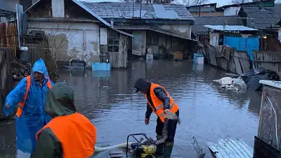 двор, фото - Новости Zakon.kz от 13.03.2022 23:34