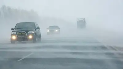 novoetv.kz, фото - Новости Zakon.kz от 20.01.2019 13:47