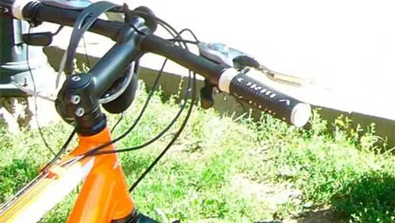 Камера в подъезде одного из домов Астаны запечатлела, как парни своровали велосипед