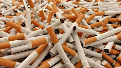 Daily Storm, фото - Новости Zakon.kz от 29.11.2018 06:47