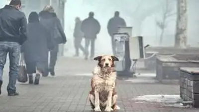 Zakon.kz, фото - Новости Zakon.kz от 10.10.2014 16:50