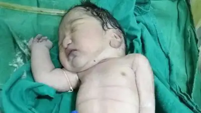 Фото: Caters News Agency, фото - Новости Zakon.kz от 09.12.2017 18:43