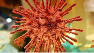 pixabay.com, фото - Новости Zakon.kz от 01.04.2020 14:05