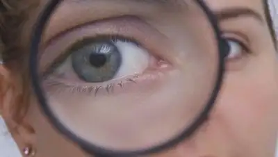 из открытых источников, фото - Новости Zakon.kz от 29.01.2019 16:02