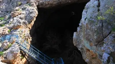 Zakon.kz, фото - Новости Zakon.kz от 07.06.2015 14:24