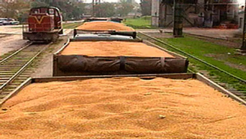 Мировой рынок зависит от поставок зерна из Украины и Казахстана, фото - Новости Zakon.kz от 30.07.2014 19:28