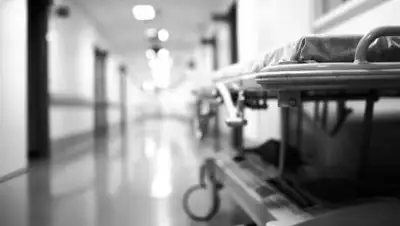 из открытых источников, фото - Новости Zakon.kz от 20.02.2021 09:19