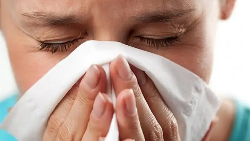 Алматинские специалисты дали советы, как спастись в сезон аллергии