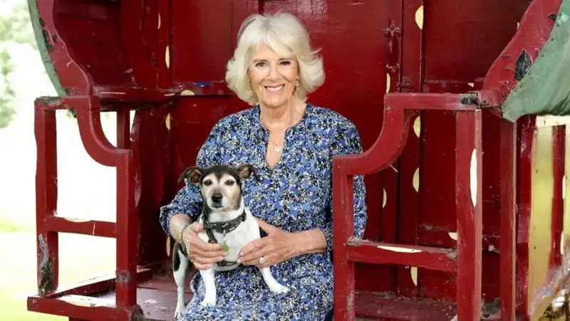 Супругу Карла III Камиллу будут называть королева-консорт