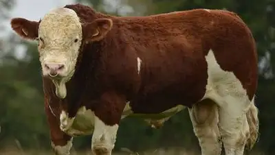 krasrab.ru, фото - Новости Zakon.kz от 14.07.2021 22:14