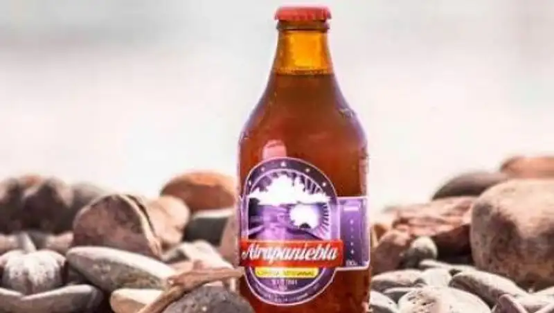 В Чили научились варить пиво из тумана