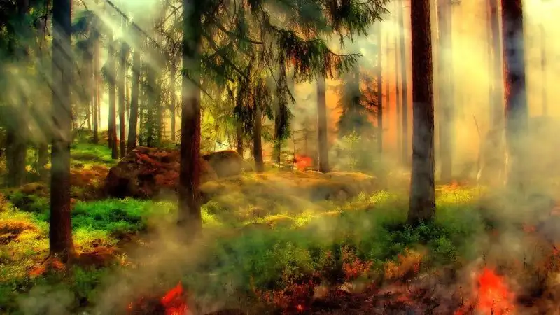 Канадцы массово покидают свои дома из-за пожаров