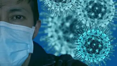 pixabay.com, фото - Новости Zakon.kz от 10.08.2020 16:27