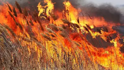 bezformata.com, фото - Новости Zakon.kz от 02.12.2019 18:49