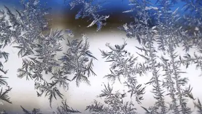 Pixabay, фото - Новости Zakon.kz от 07.02.2019 14:54