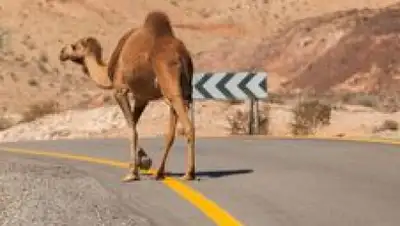 Zakon.kz, фото - Новости Zakon.kz от 15.09.2016 16:27