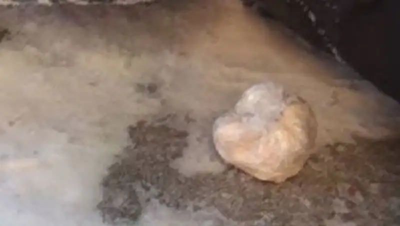 В Петропавловске задержан наркосбытчик