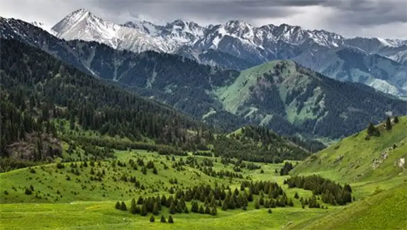 Экофорум Казахстана поддерживает кампанию в защиту Кок-Жайляу