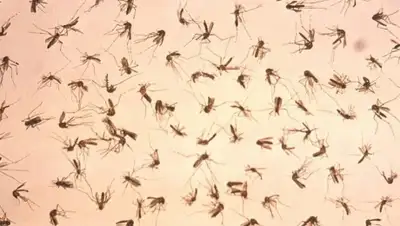 Zakon.kz, фото - Новости Zakon.kz от 10.02.2016 15:57