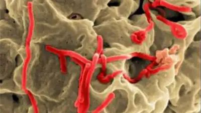 Zakon.kz, фото - Новости Zakon.kz от 28.10.2014 15:02